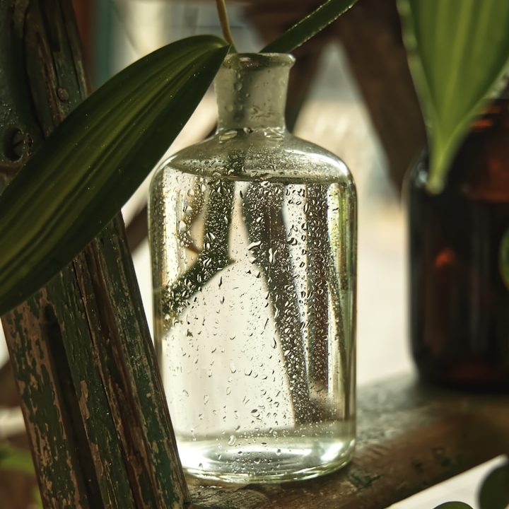 Paul Mitchell Glasflasche mit Wasser und Luftblasen, umgeben von Pflanzen.